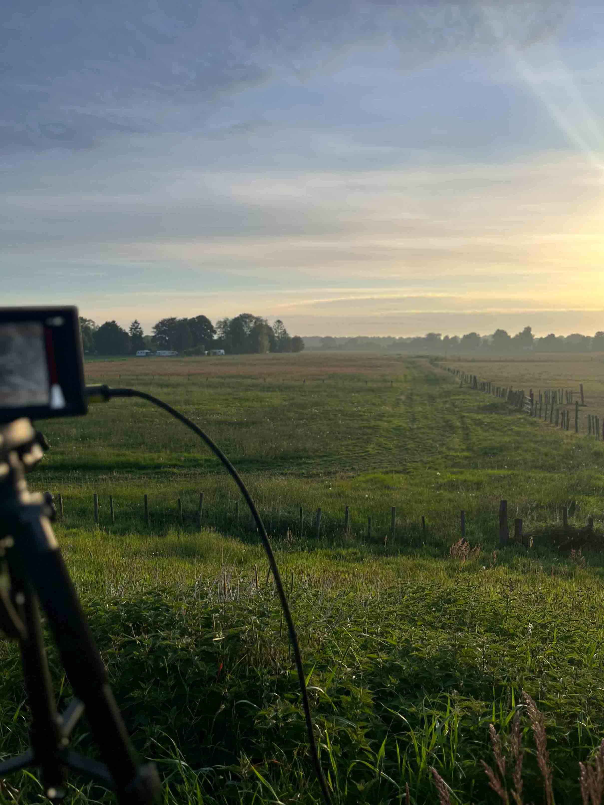 Weitläufige Weidelandschaft von Gut Wagyu bei Sonnenaufgang mit Kameraausrüstung im Vordergrund.